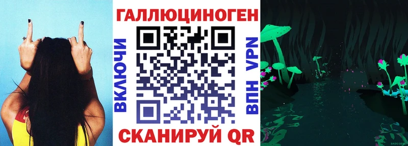 Купить закладки  Иннополис  Галлюциногенные грибы Psilocybine cubensis 